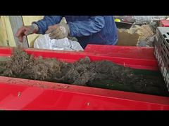 800F modelo triturador de algas marinas 12mm pantalla